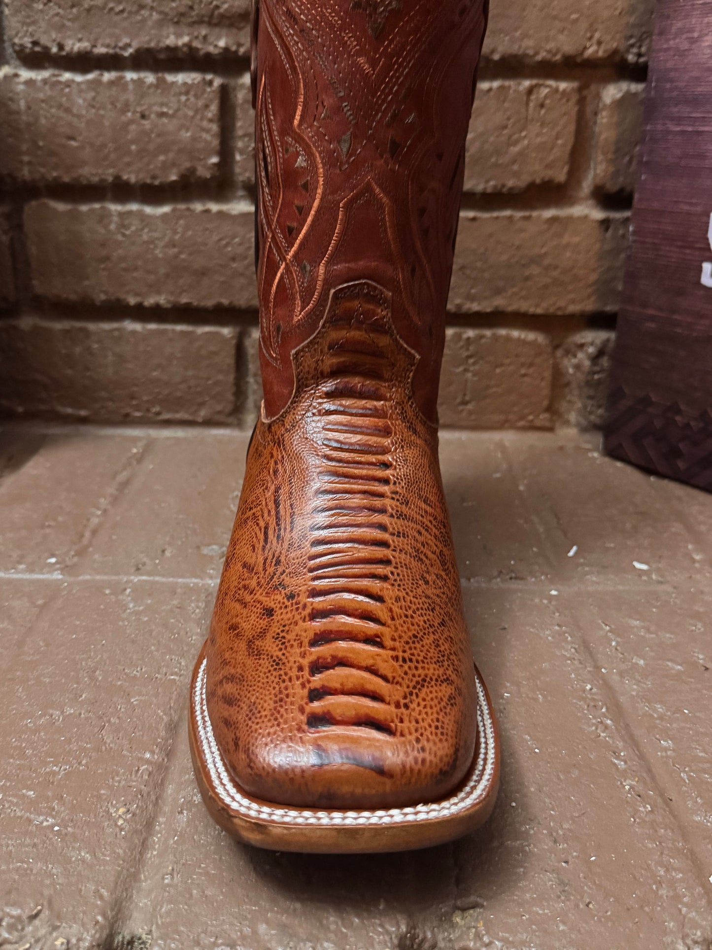 Ostrich print leg