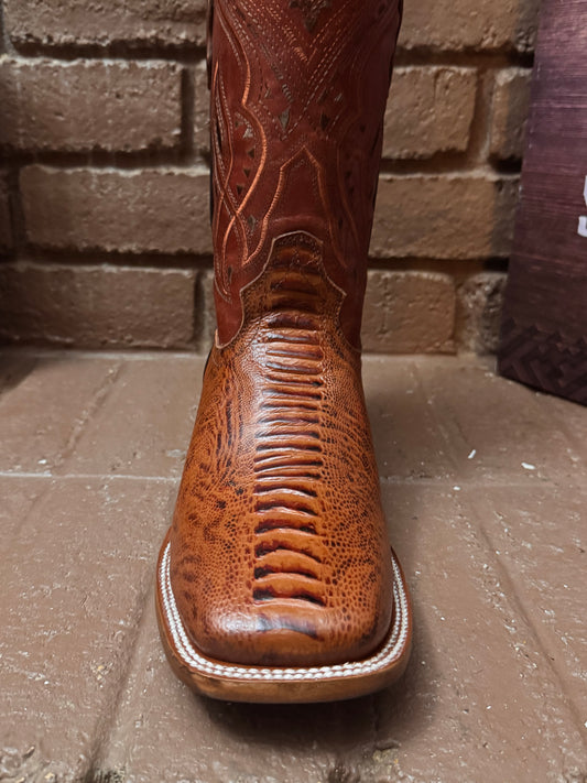 Ostrich print leg